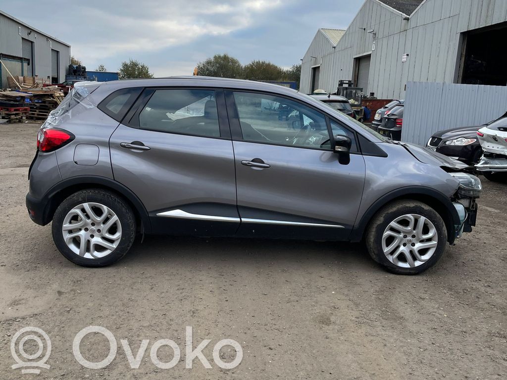 Captur Captur  490018503R