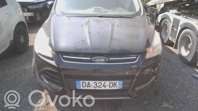 Kuga II Kuga  1789592