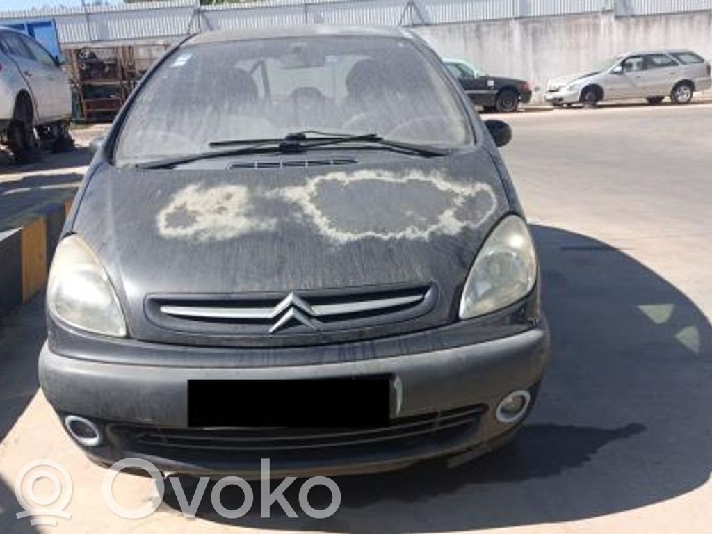 Xsara Picasso Xsara, Xsara Picasso