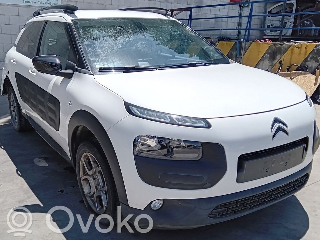 C4 Cactus C4 Picasso, Grand Picasso, Aircross, Cactus