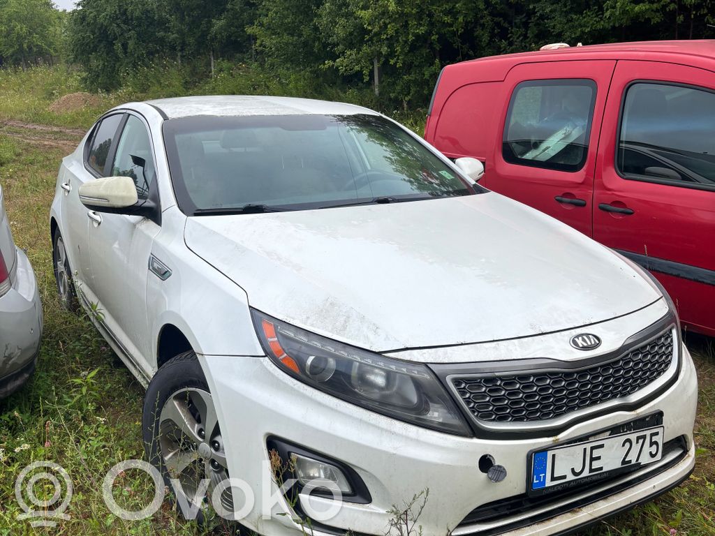 Optima Optima  264102G000