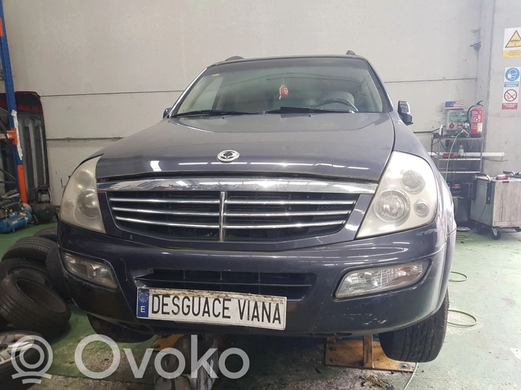 Rexton Rexton  4896008000