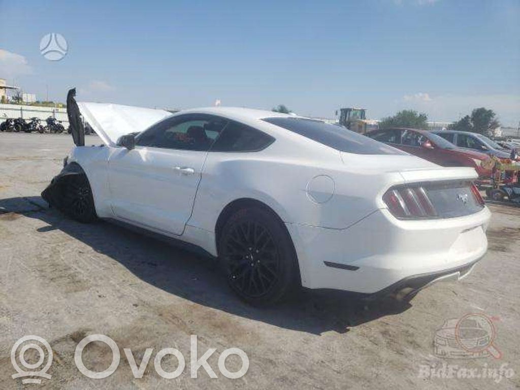 Mustang VI Mustang  FR3C6037CA