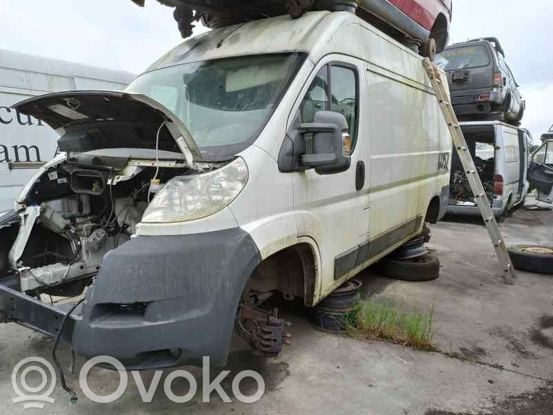 Boxer Boxer  BK2Q2A451FA