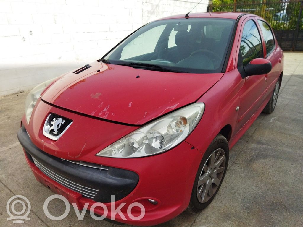 206+ 206, 206+  96874997XT
