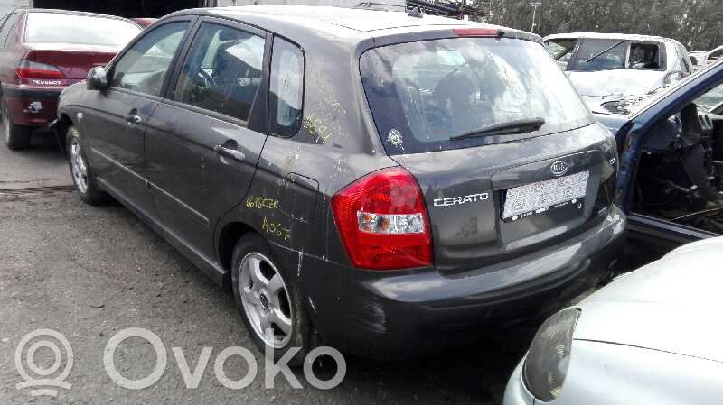 Cerato Cerato