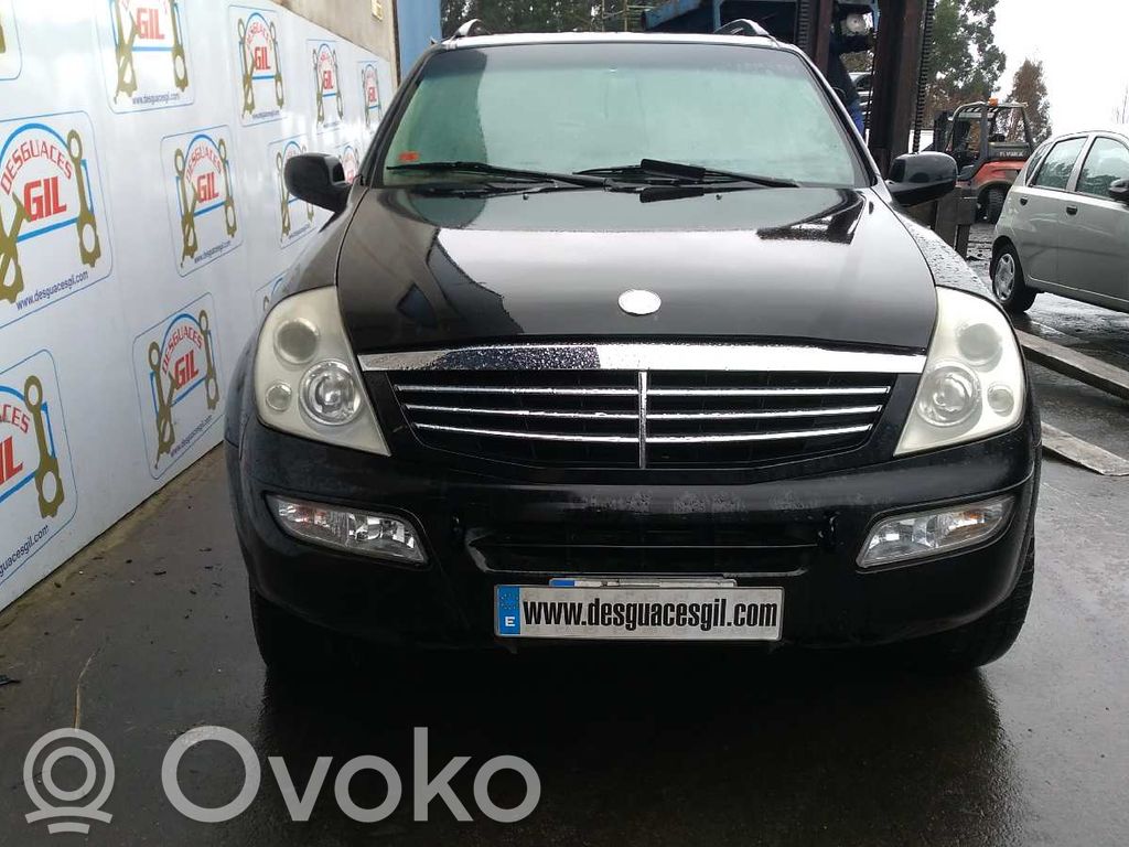 Rexton Rexton
