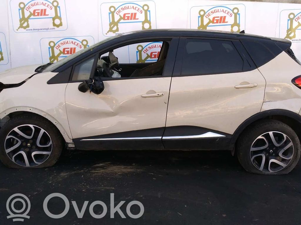 Captur Captur  88102001