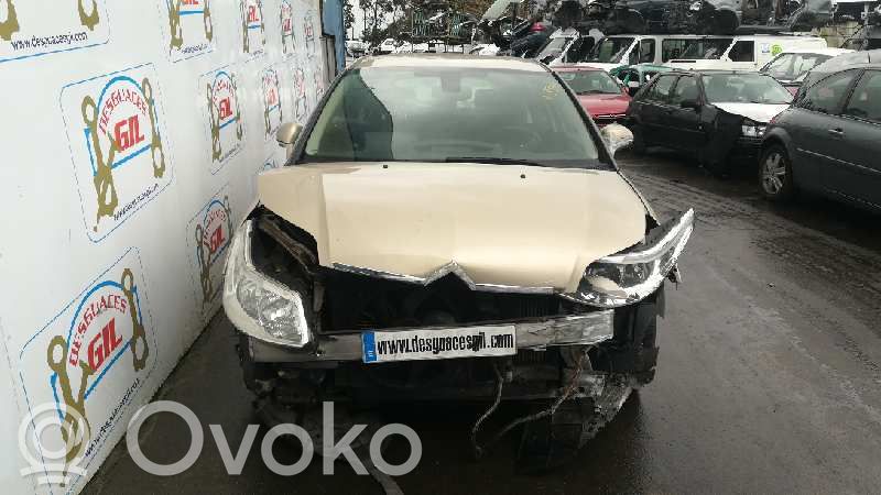 C4 I C4 Picasso, Grand Picasso, Aircross, Cactus  B9506