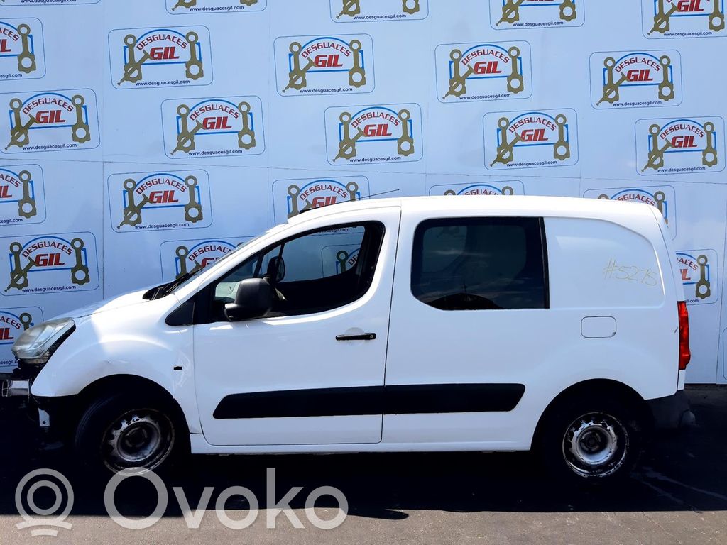 Berlingo Berlingo  E3010