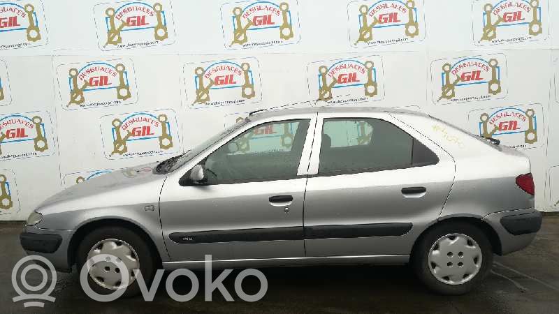 Xsara Xsara, Xsara Picasso