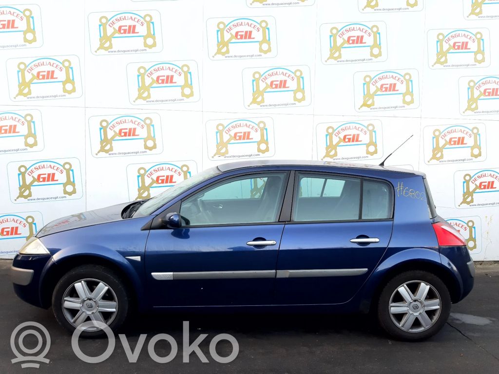 Megane II Megane  8200242405
