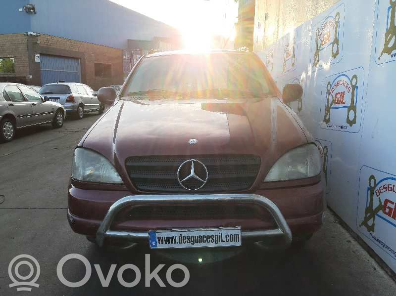 ML W163 ML-class, AMG (W163, W164, W166)  1635455832