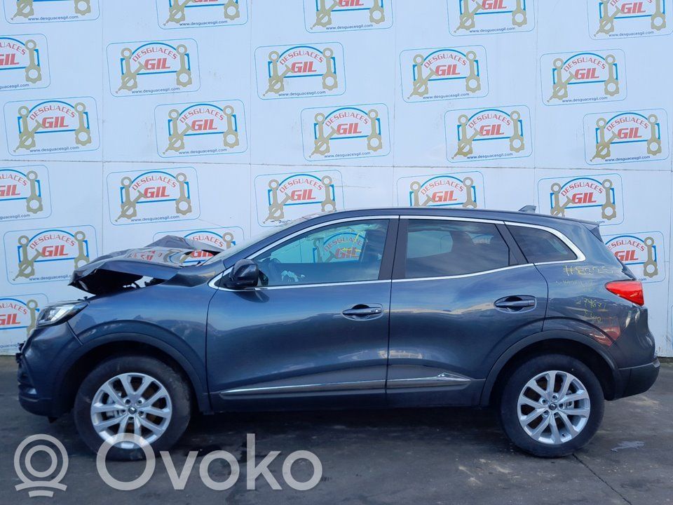 Kadjar Kadjar  255678341R