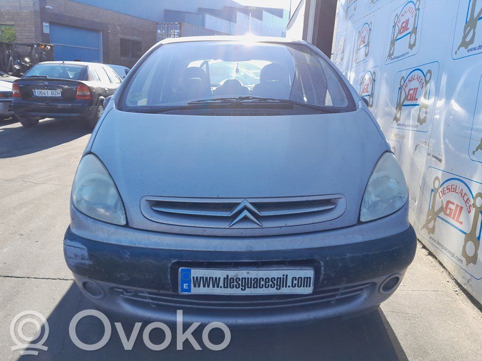 Xsara Xsara, Xsara Picasso