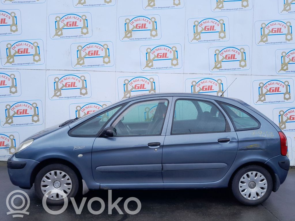 Xsara Xsara, Xsara Picasso