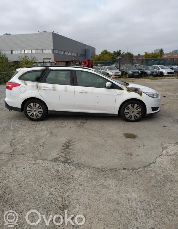 Focus Focus  2147844