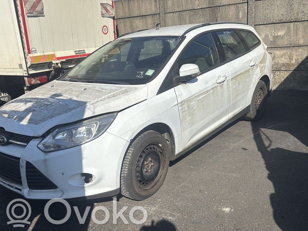 Focus Focus  1787063