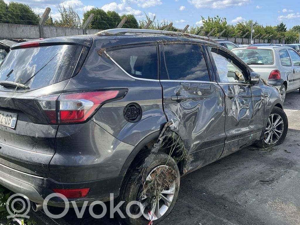 Kuga II Kuga  1787264