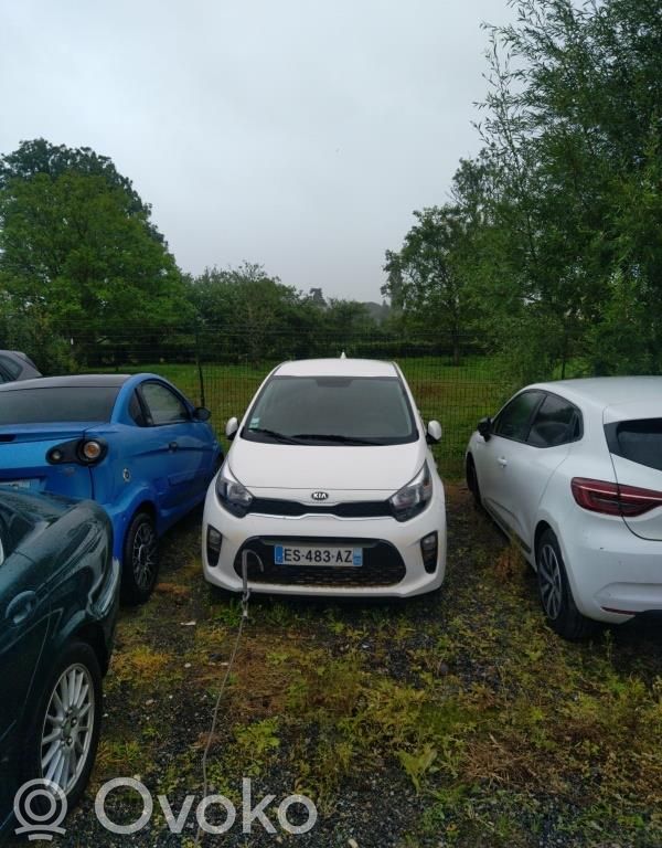 Picanto Picanto  3610003BB6