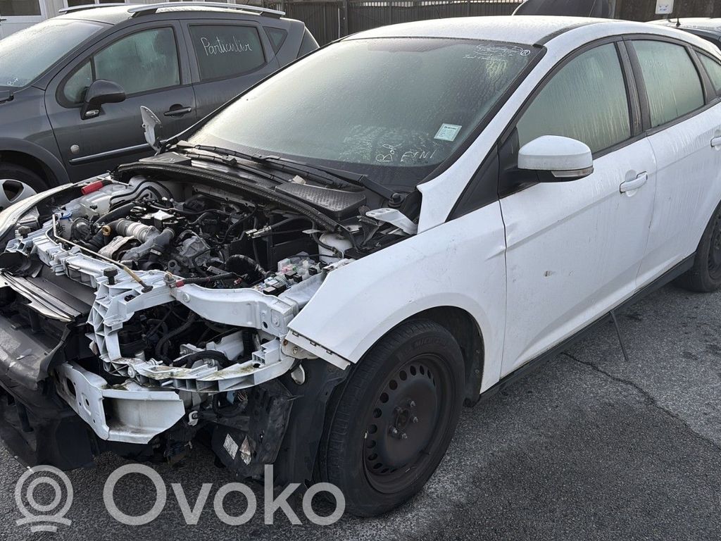 Focus Focus  2143356