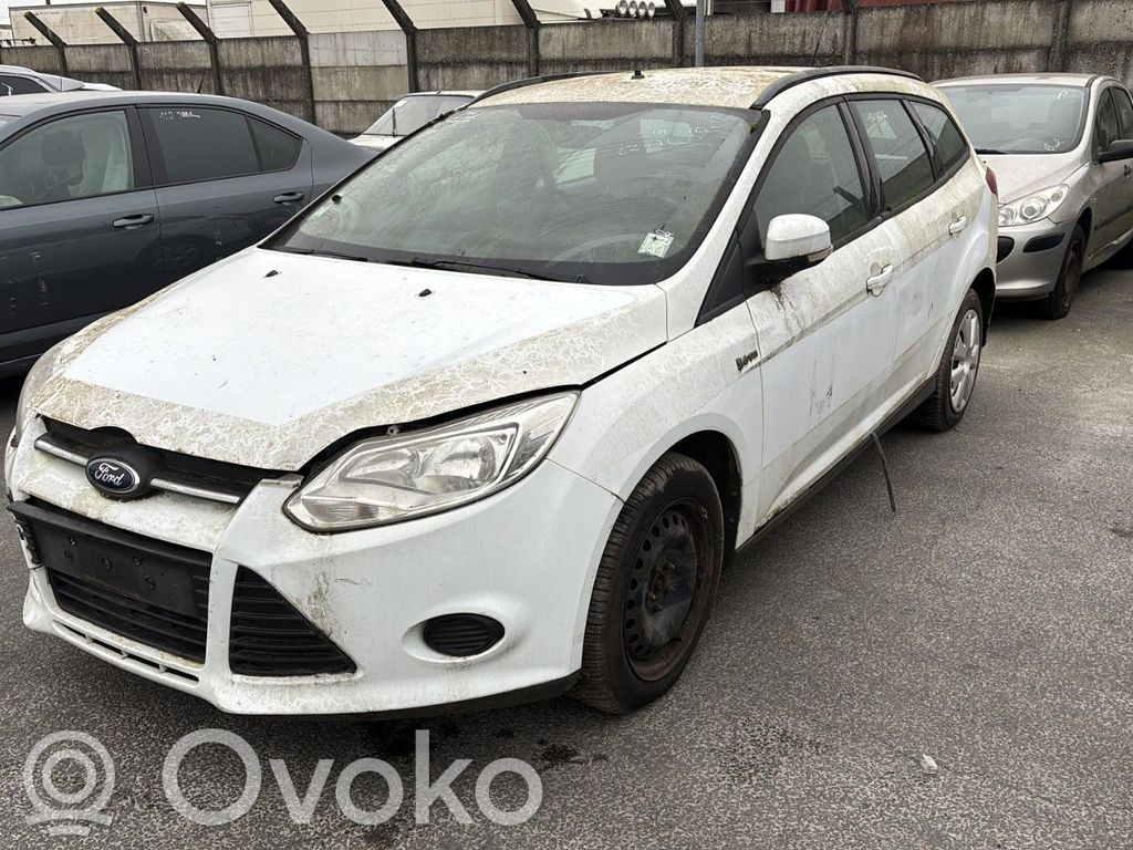 Focus Focus  2120913