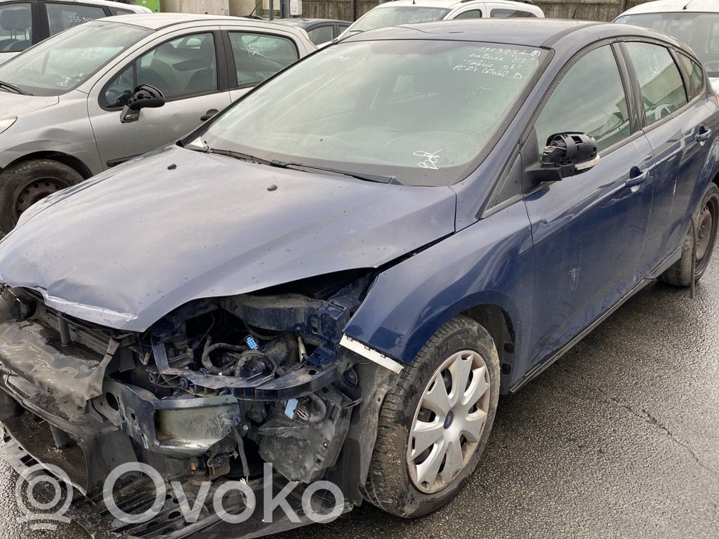 Focus Focus  1681167