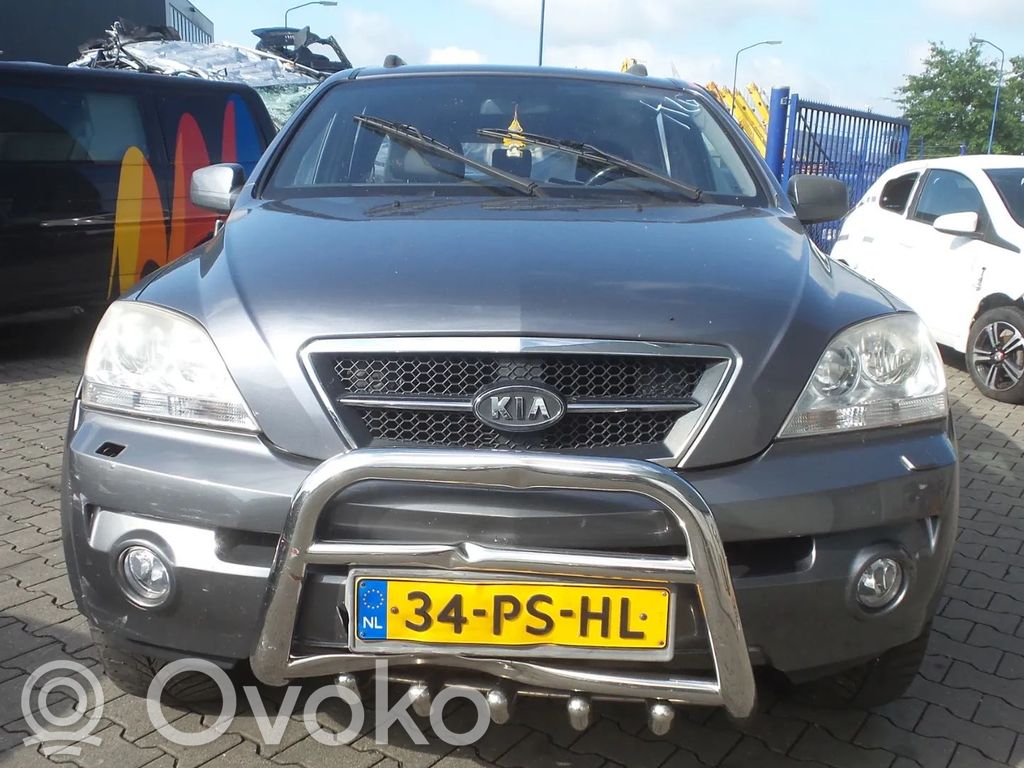 Sorento Sorento  495003E110