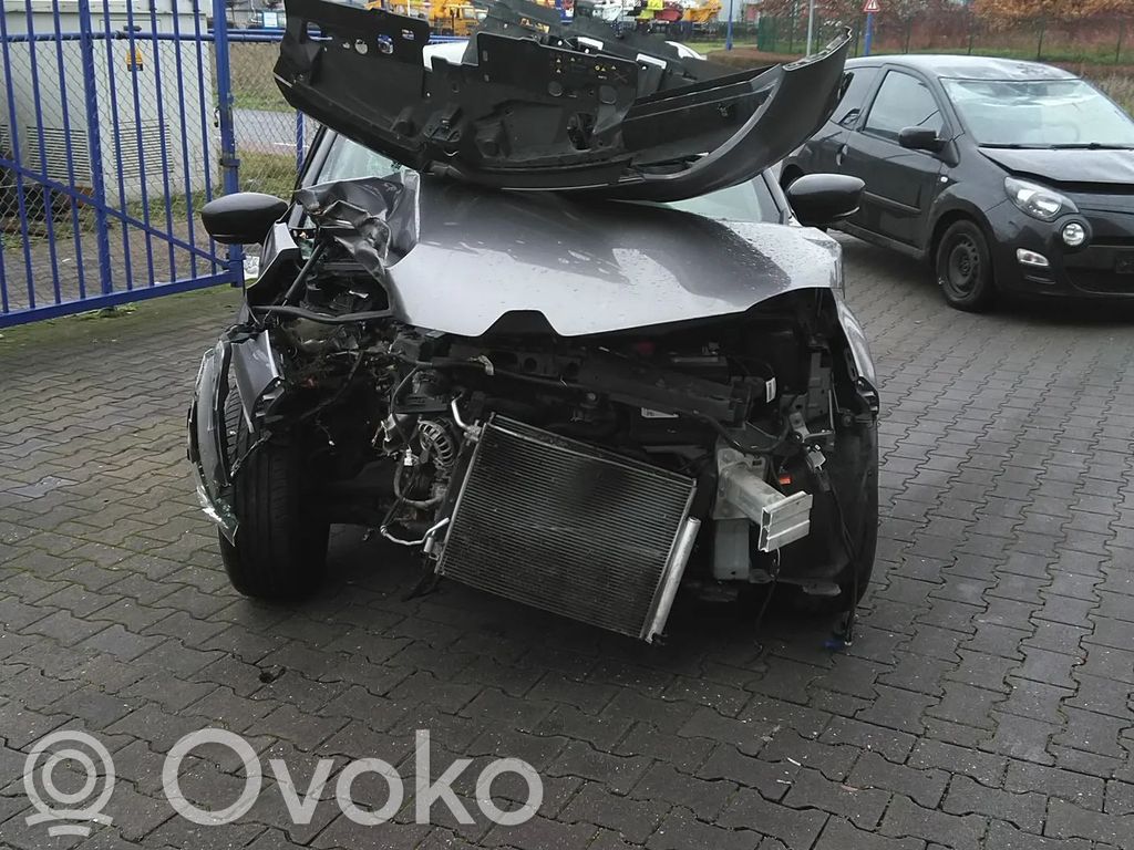 Captur Captur  110116559R