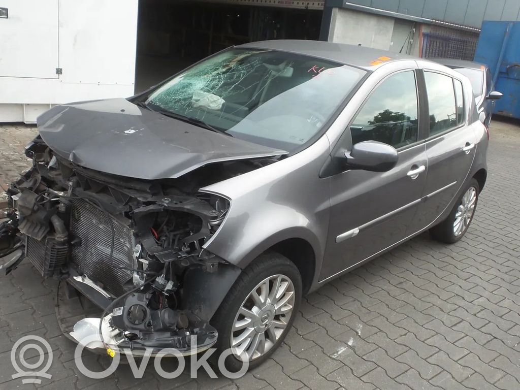 Clio III Clio  0258006971