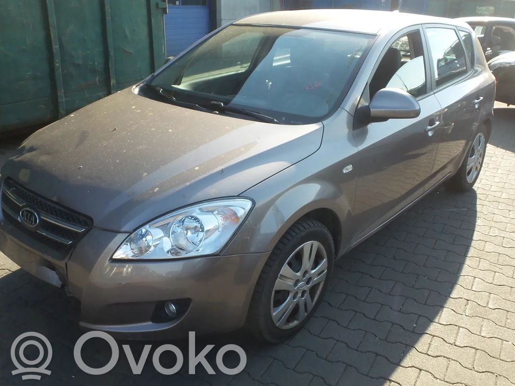 Ceed Ceed, Ceed SW, Pro Ceed  589201H300