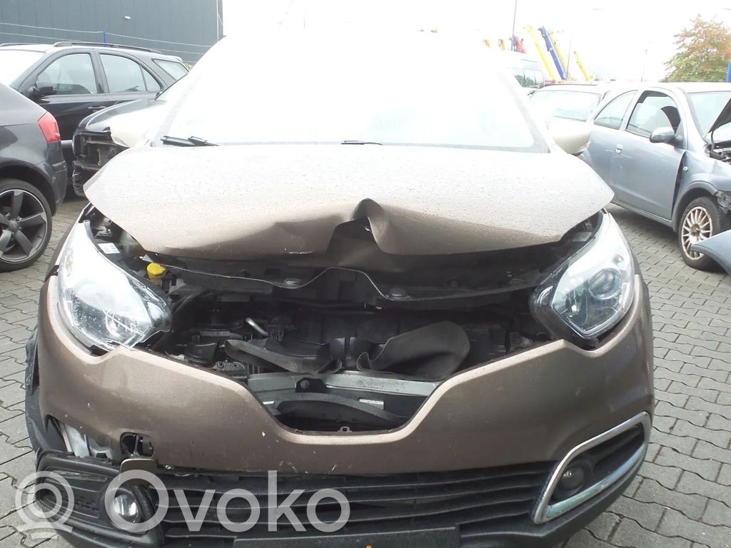 Captur Captur  233000779R