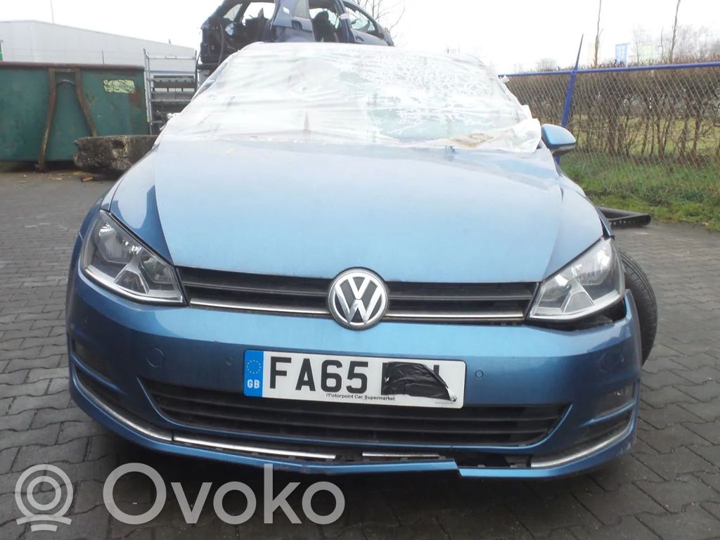 Golf VII Golf  04E907309BH