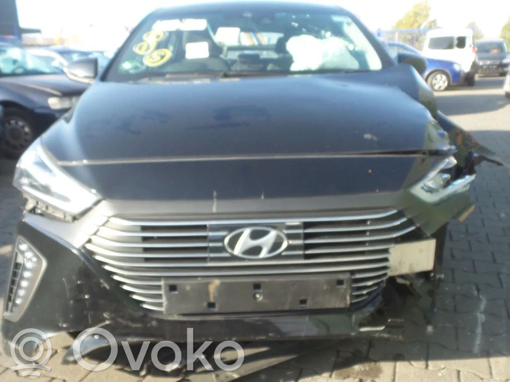Ioniq Ioniq  21810G2000