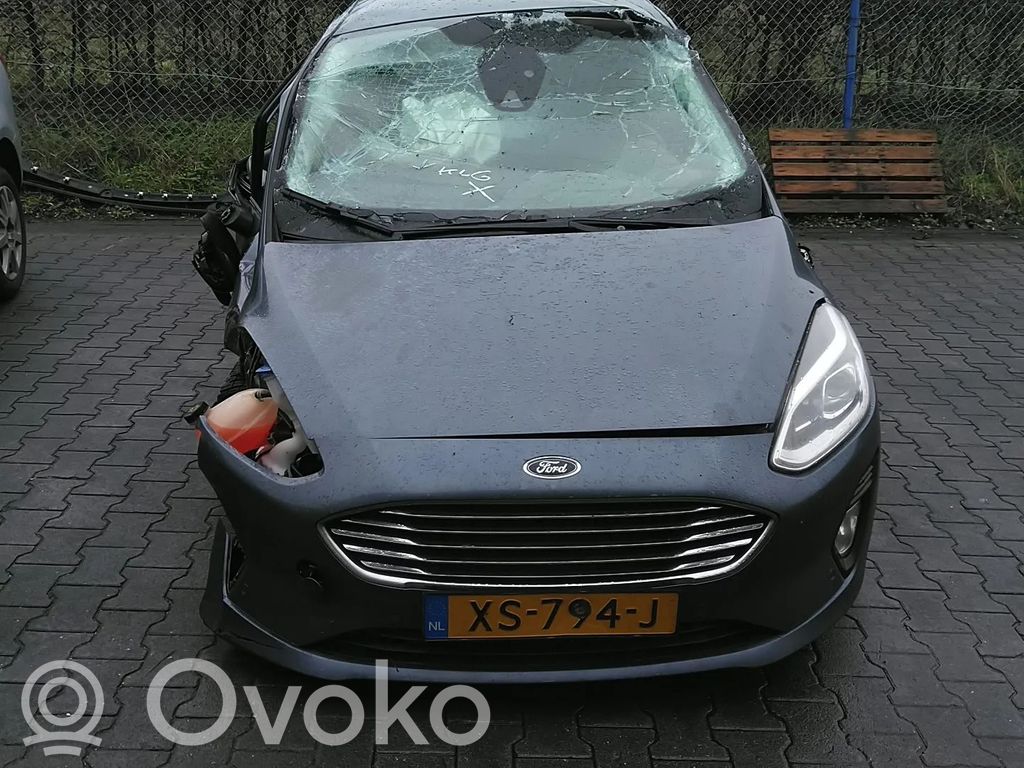 Fiesta Fiesta  F1FA9Y460EA