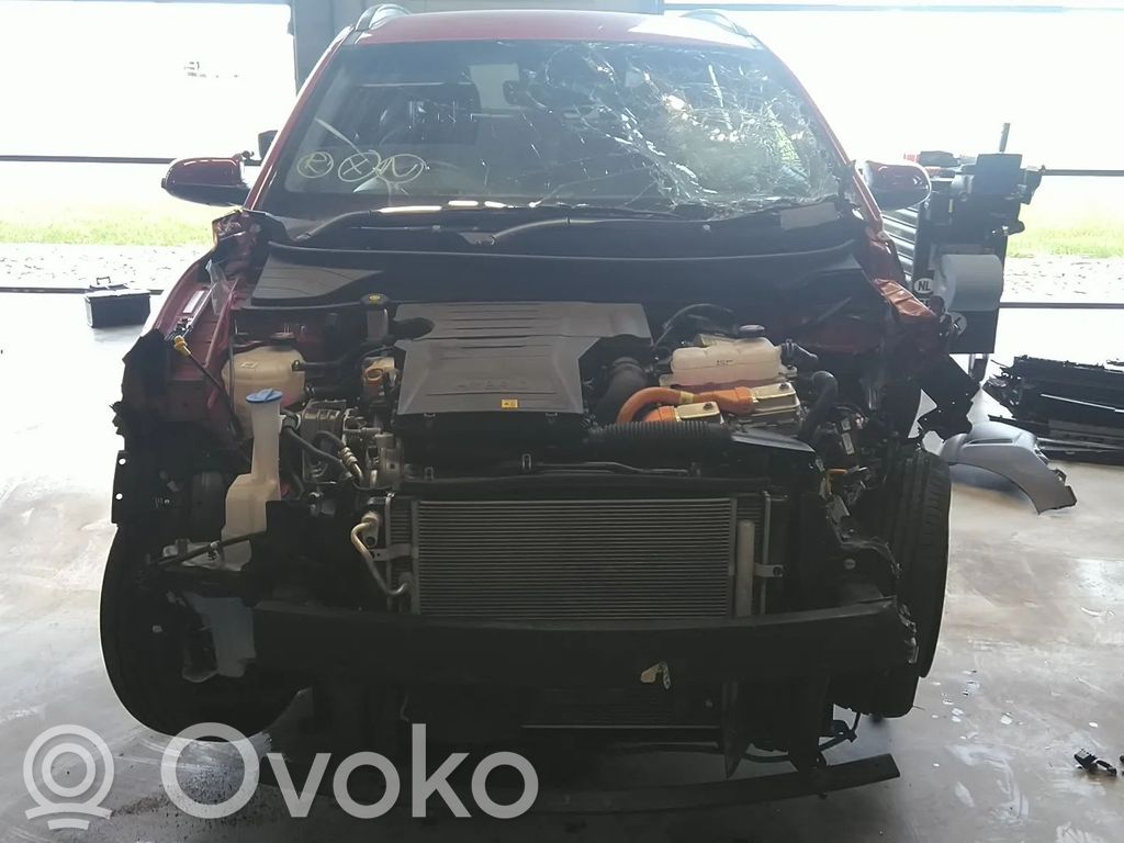 Kona I Kona  3936403HC0