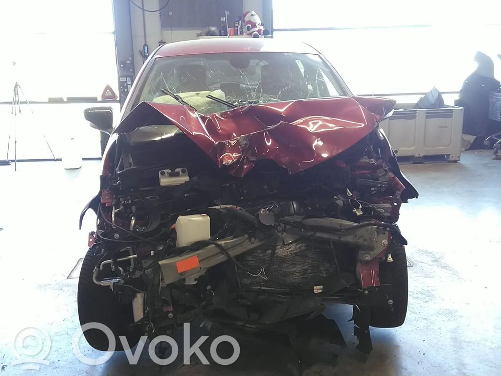 Zoe Zoe  290102964R