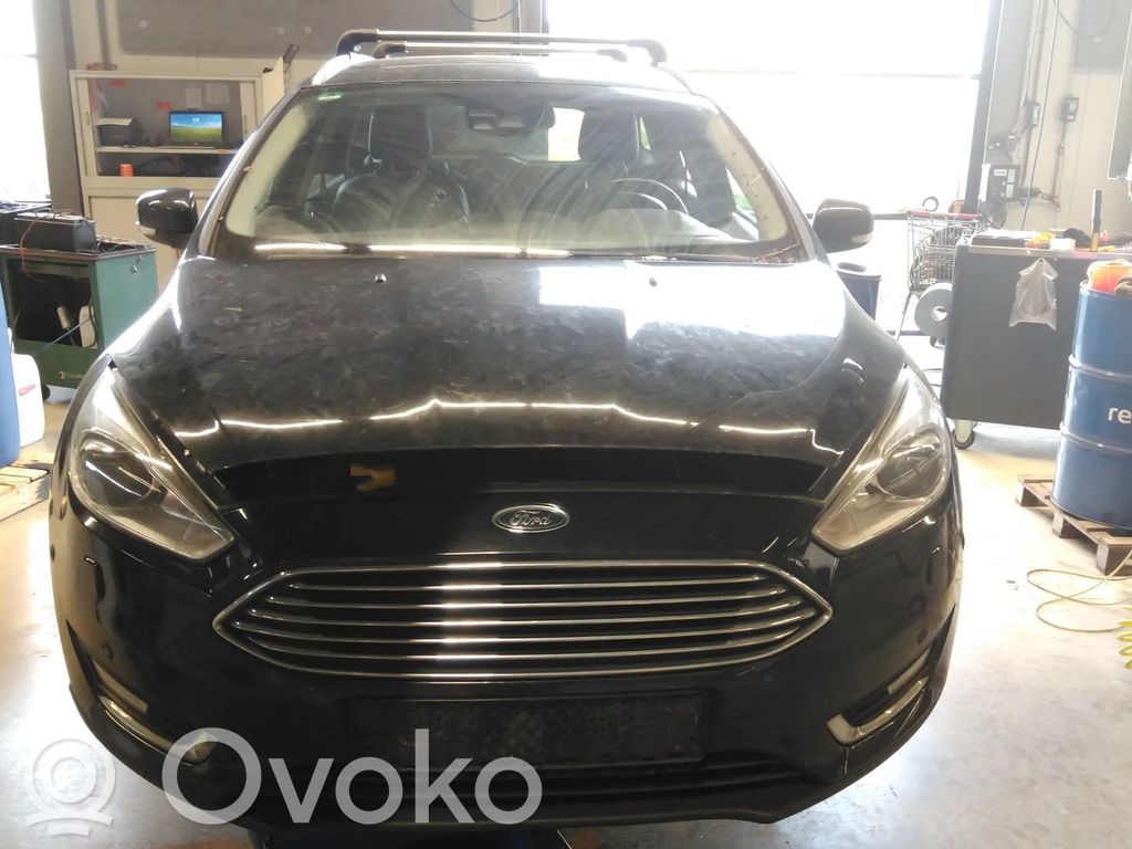 Focus Focus  1892894