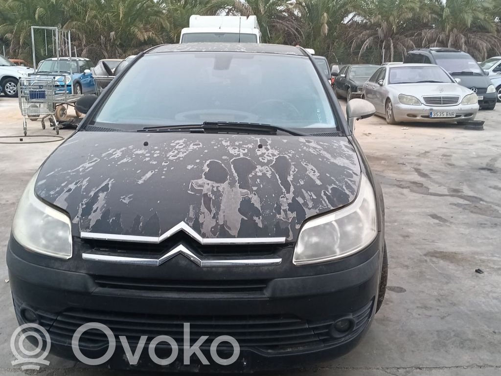 C4 I C4 Picasso, Grand Picasso, Aircross, Cactus  9685590380