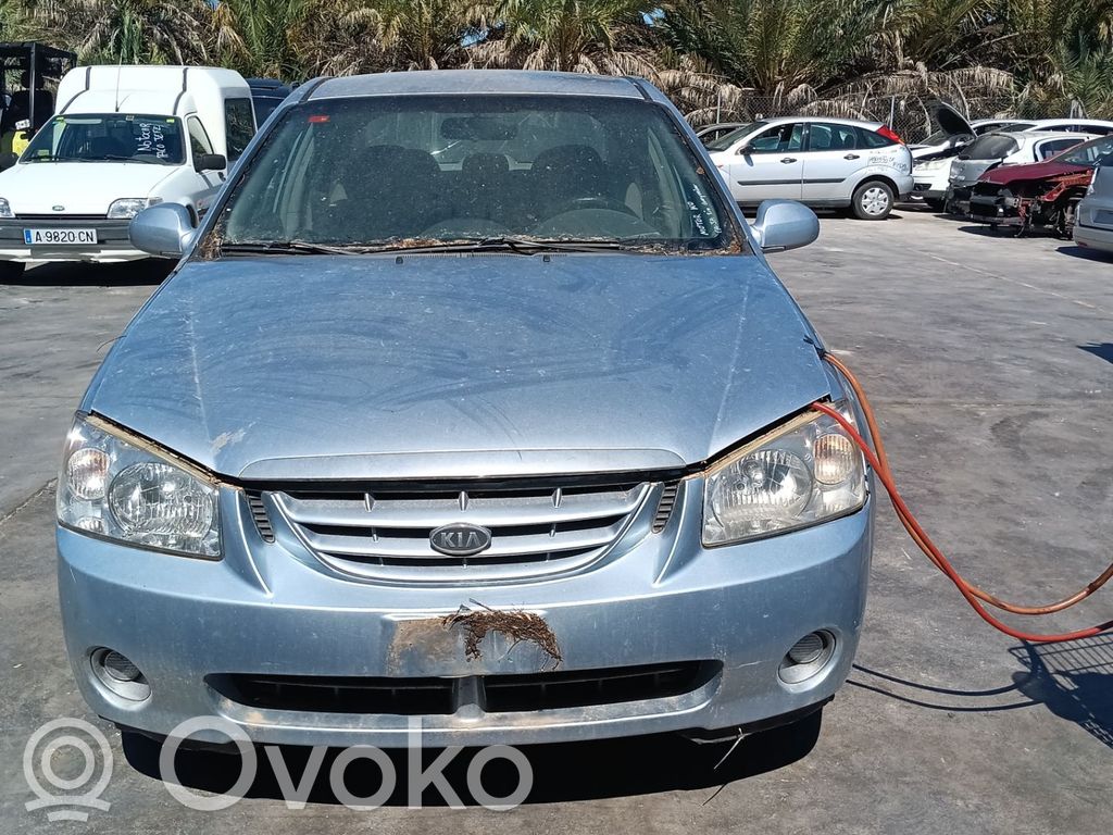 Cerato Cerato  338002A110
