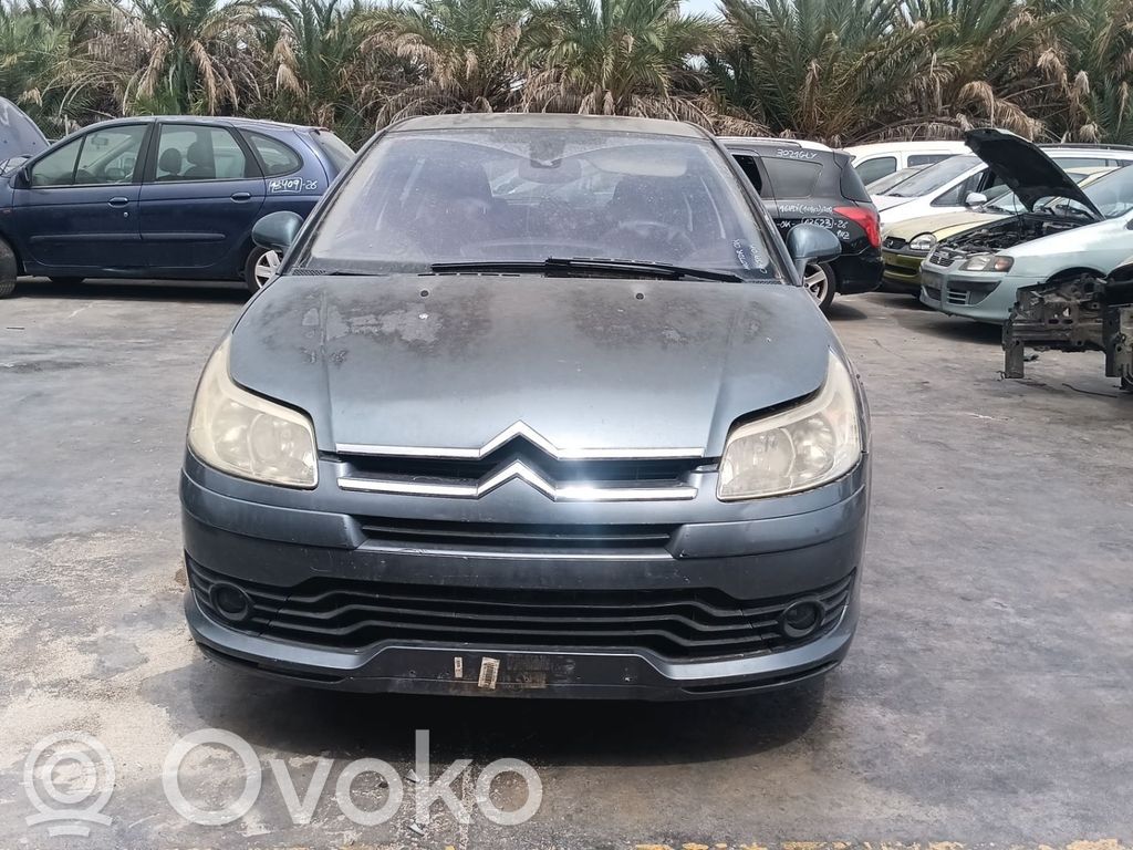 C4 I C4 Picasso, Grand Picasso, Aircross, Cactus  9661204380