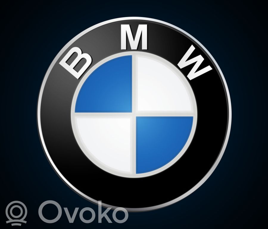 X5 E53 X5  6913389