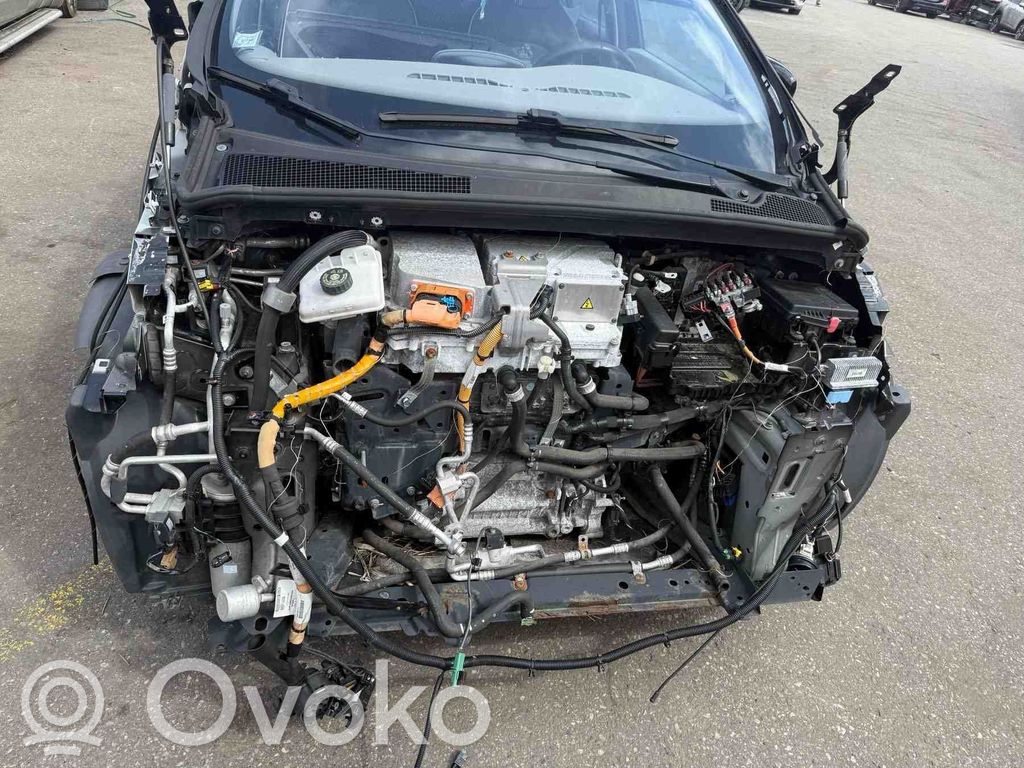 Zoe Zoe  251508698R