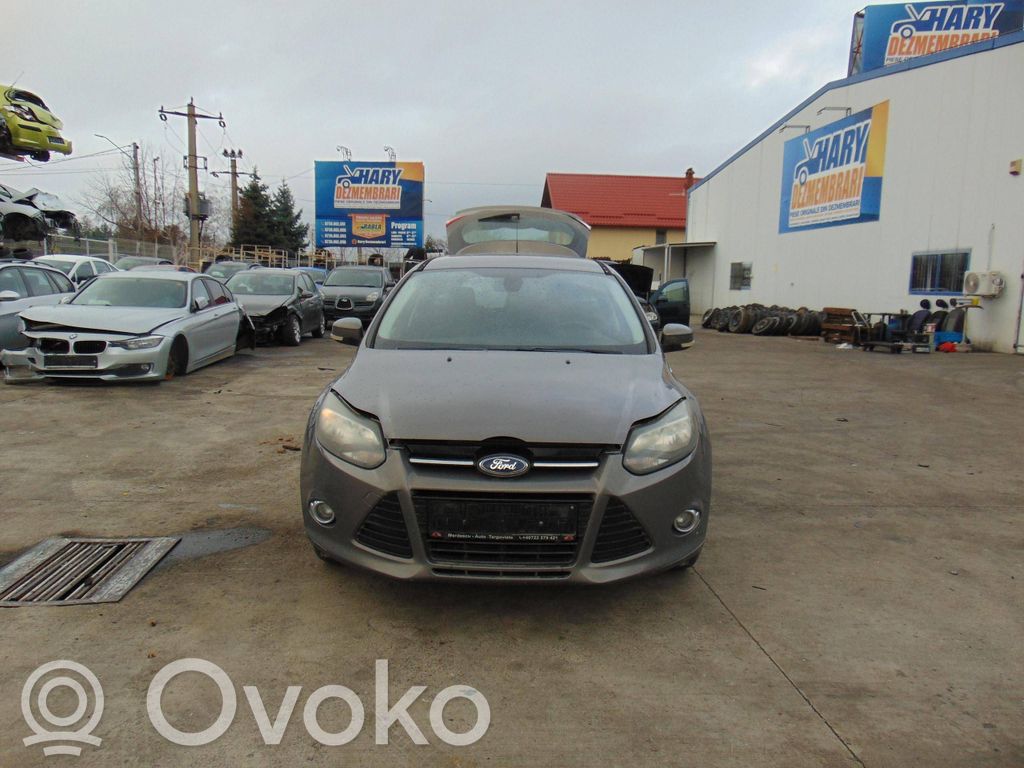 Focus Focus  1857216