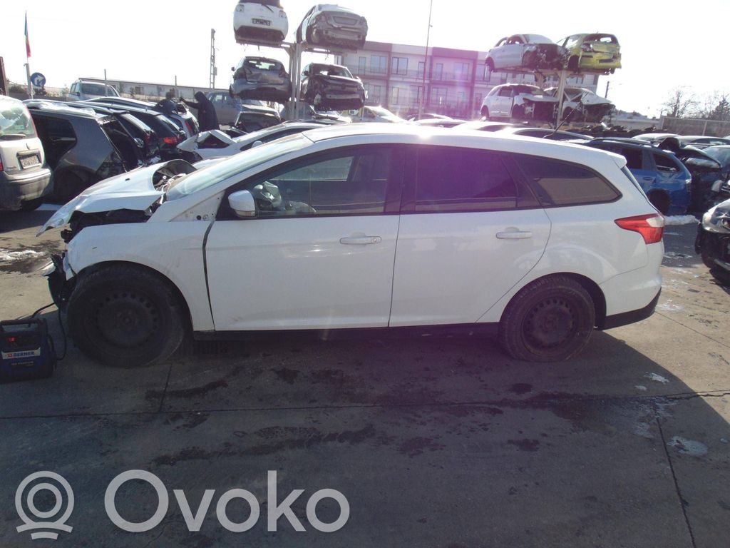 Focus Focus  2459536