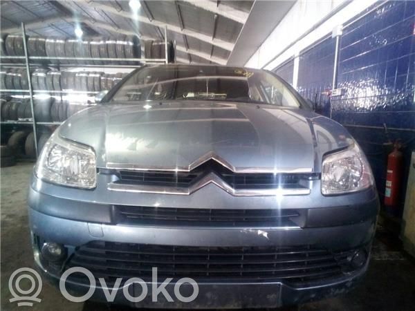 C4 I C4 Picasso, Grand Picasso, Aircross, Cactus  D7G3