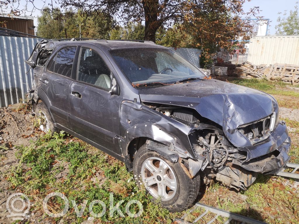 Sorento Sorento  391004A810