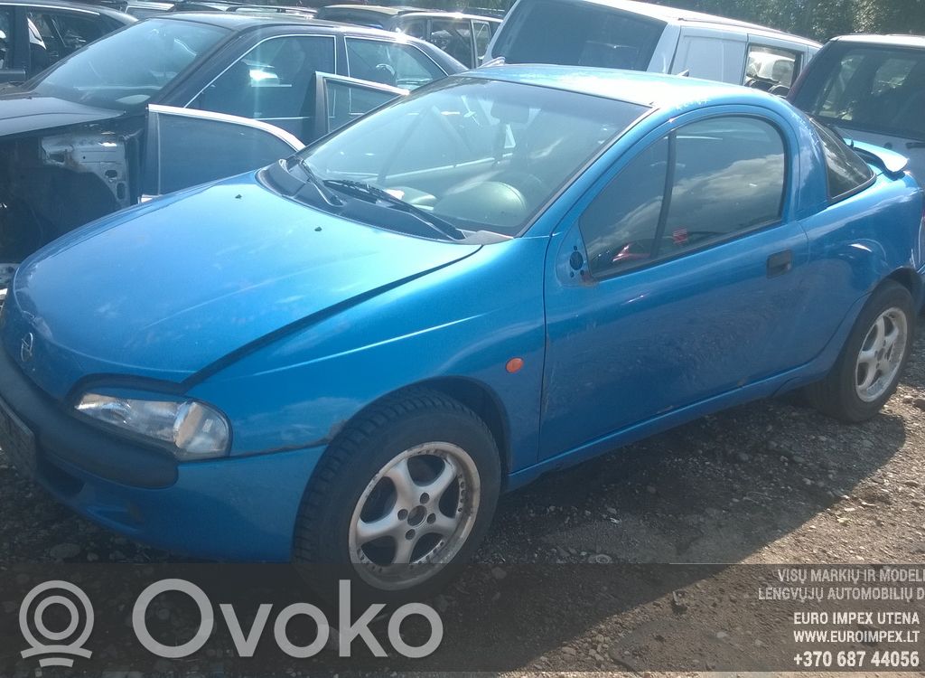 Tigra A Tigra  0204003