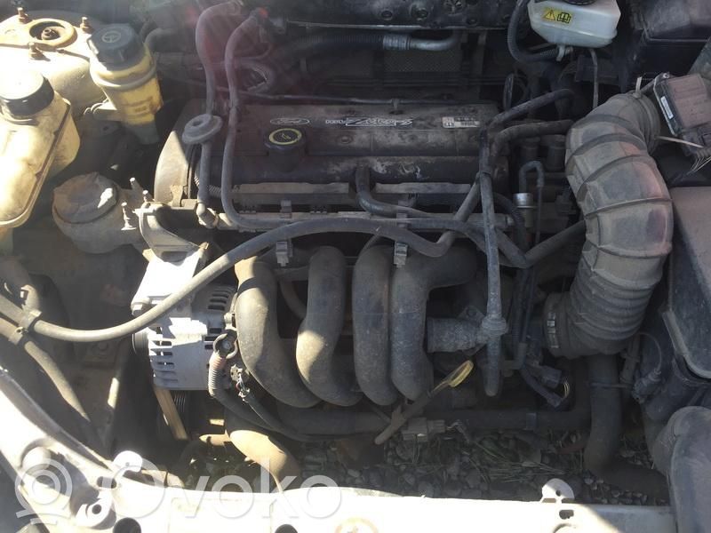Focus Focus  E1143R00004