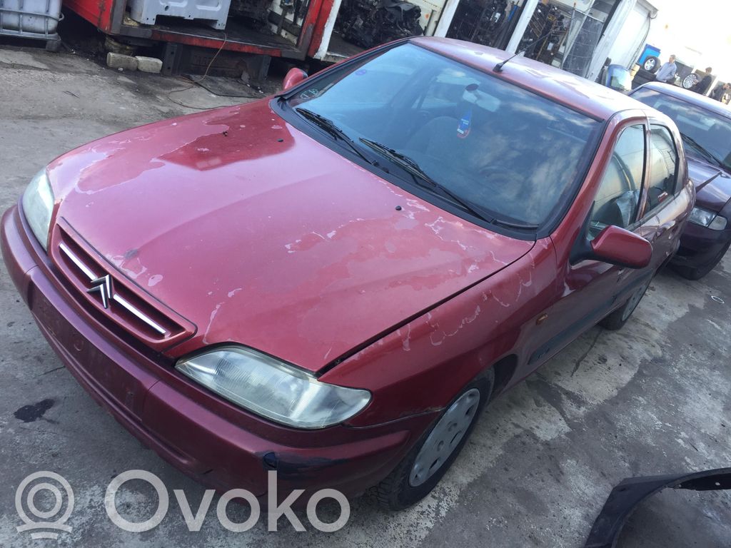 Xsara Xsara, Xsara Picasso